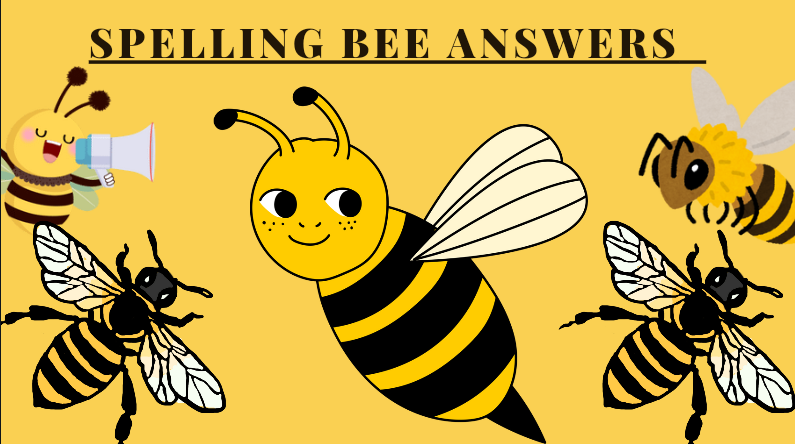 spelling bee answers