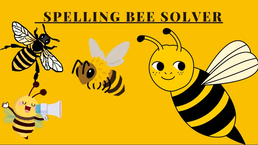 Spelling bee Solver