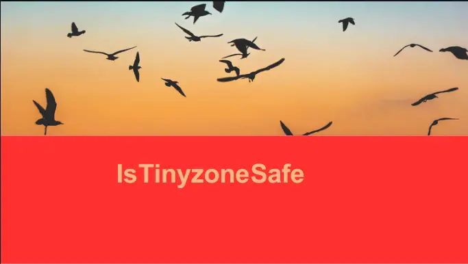 Is Tinyzone Safe